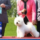 레이지 포 이미지