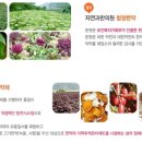 몸춤식단