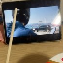 엠제트 퍼포먼스 이미지