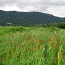 진군농장 이미지