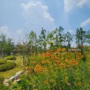 천상잔디유치원(승합차3) | 경기도 수원 가볼 만한 곳 영흥 수목원 방문 후기, 주차와 입장료 정보