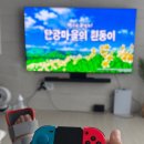 서재 흰둥이네 이미지