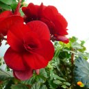 대평고등학교 이미지