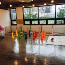 제주네 애견유치원 이미지