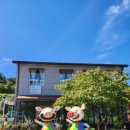 소백산꽃차이야기팜스테이 이미지