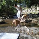 땡큐애견 이미지