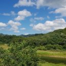 강산에펜션 네이버블로그