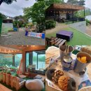 옥정호목장 | [전북 임실] 전주근교 반려동물동반 개그맨 이재훈 옥정호 대형카페 "옥쭹가든" 내돈내산