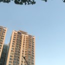 송지한의원 | 11월 둘째 주 일상