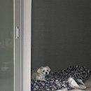 술꾼 시골사람들