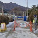 인천반려동물농장 이미지