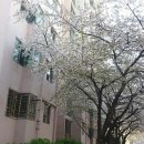 신동아아파트(102동앞) 이미지