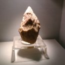 선사유적지 이미지