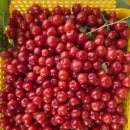 예인나라어린이집 이미지