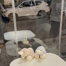 마일드무무