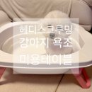그루밍 하니 | 제품 리뷰 헤디스 그루밍 강아지 욕조 애견 미용테이블