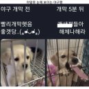 저 혹시 홍대 가려면 어떻게 해야되죠? 뉴진스의 하입보이요