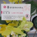 양평한라부동산공인중개사사무소 | 양평 아파트 분양권 실거래가 신고 10월 4일 기준
