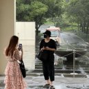 이다해 카카오 검색결과