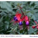 (주)대아환경 이미지