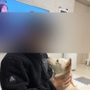 봉곡남로20길-6 이미지