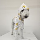 차근차근 옷 만들기 이미지