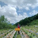 우경농원 이미지