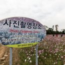 코스모스편의점