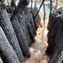 김영택농장 이미지