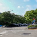 수덕사 진입로 이미지