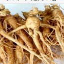 금산인삼 이미지