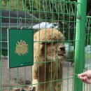 가족과함께 이미지