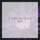 브이의원 이미지