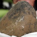 운석농장 이미지