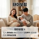 양성우체국 | 태아보험 필수특약 정리(공부해서 선택한 3만원대 가성비 가입 후기)