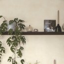 오브제-옥수수 이미지