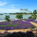 신안마을회관 이미지