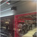 하이라이트 피트니스 이미지