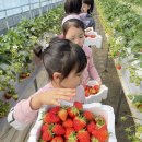 팜스타마트 이미지