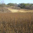 한반도면-4 이미지