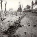 조준농장 이미지