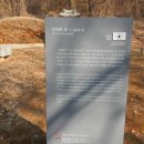 김재로묘 이미지