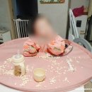 멍멍아 까꿍 | 육아일기 _ 13 ~24개월 아이 발달 기록