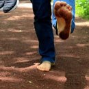 박성호한의원 이미지