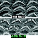 이명헤어
