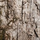 느릅농장 이미지