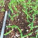 진봉농장 이미지