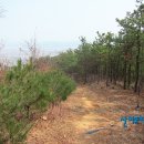 부여(홍산)-04 Daum카페