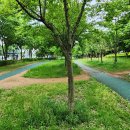 솔튼병원 이미지