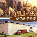 노아의방주 이미지